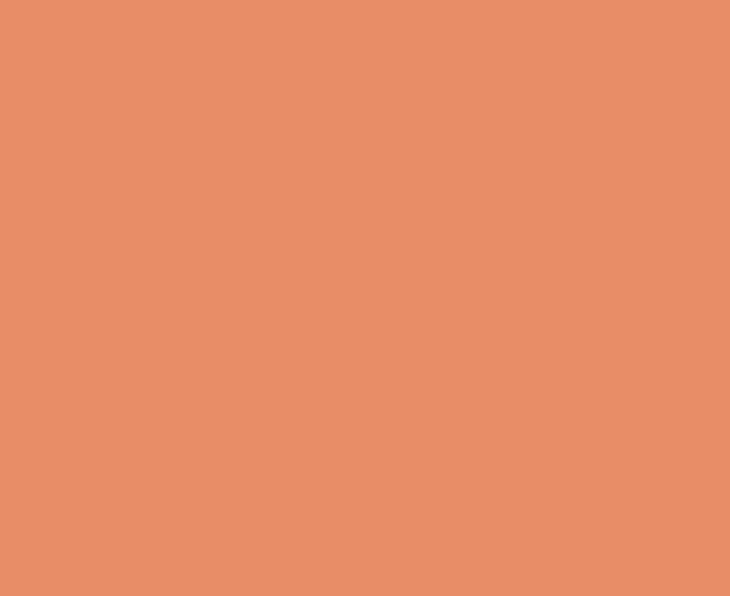 Dieses Orange ist die Kontrastfarbe im Corporate Design von Flyer Texter Tim Allgaier
